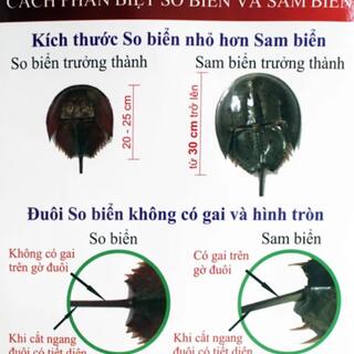 <a href="/tin-tuc-su-kien/tin-tuc-y-te" title="Tin tức y tế" rel="dofollow">Tin tức y tế</a>