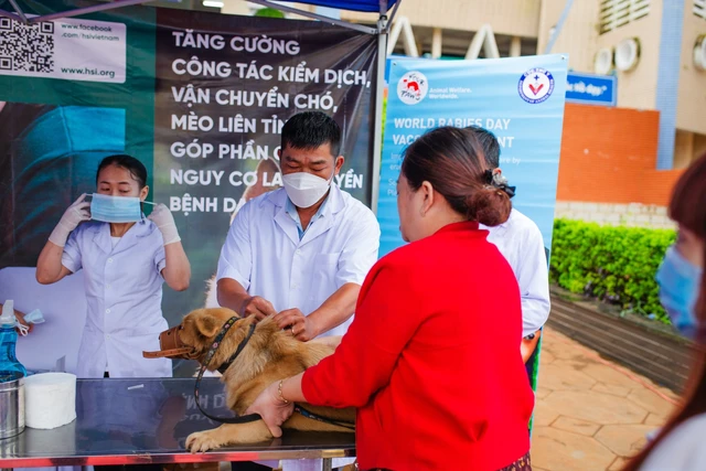 Dại: Nguyên nhân, triệu chứng, lây truyền, phòng ngừa và điều trị- Ảnh 3.