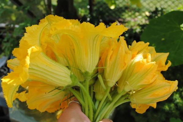 Cách làm 10 loại nước giải khát cho ngày nắng nóng từ cây cỏ vườn nhà  - Ảnh 3.