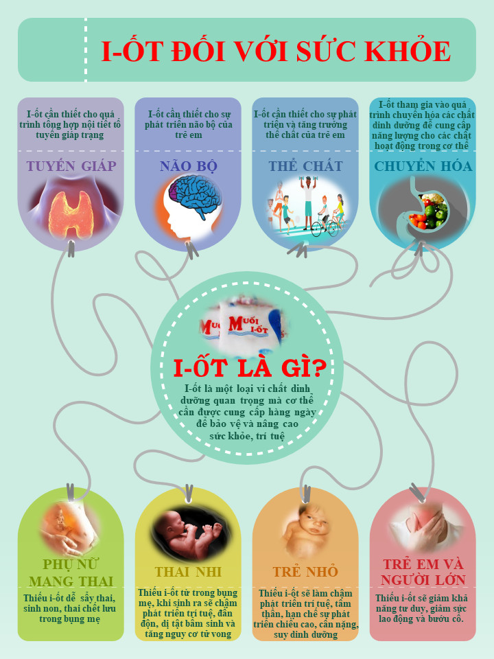 I-ốt là vi chất dinh dưỡng hết sức cần thiết cho mọi người, mọi lứa tuổi,  đặc biệt là phụ nữ trong độ tuổi sinh đẻ và thai nhi, trẻ nhỏ